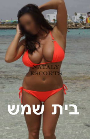 מודגש וגבוה, 22 שנים