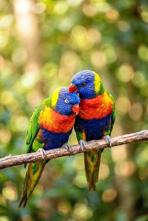 איך להתמודד עם המילים "אני אוהב אותך"